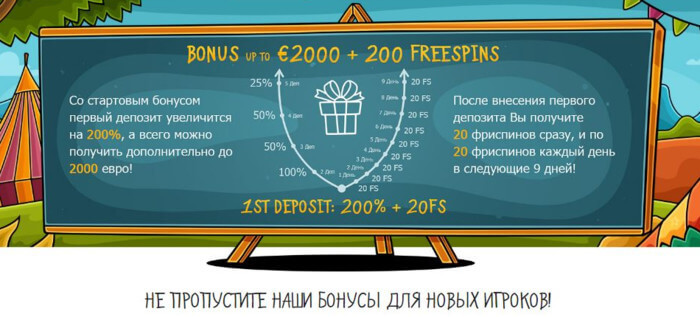 Бонусы
