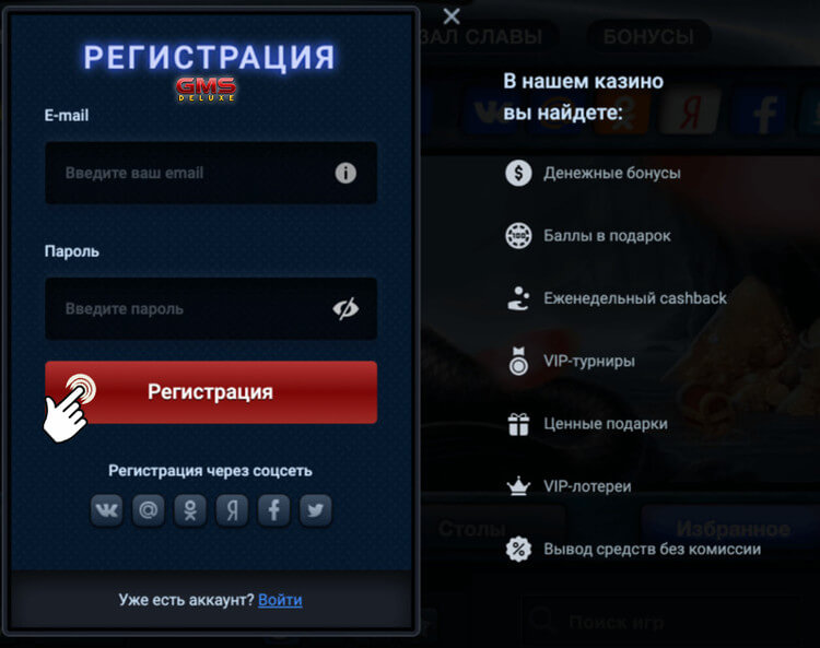 Регистрация в ГМС Делюкс